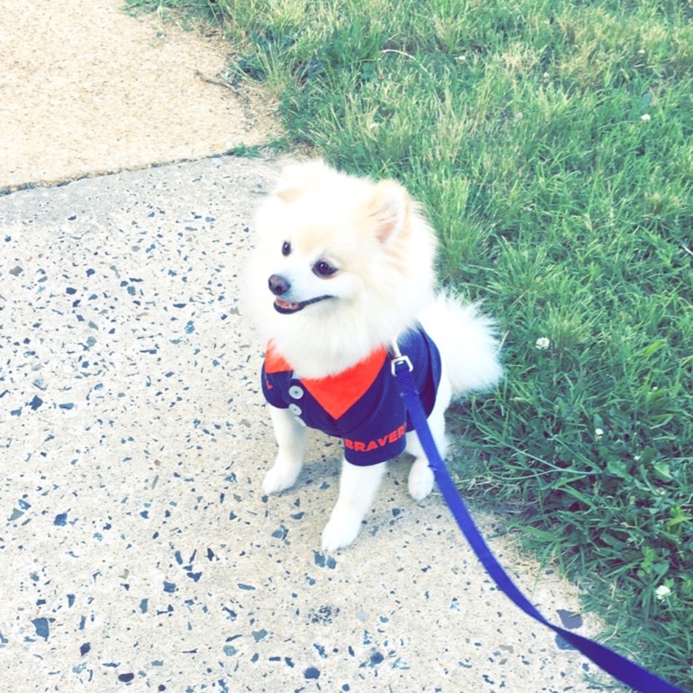 Meet your Posher, Stephanie